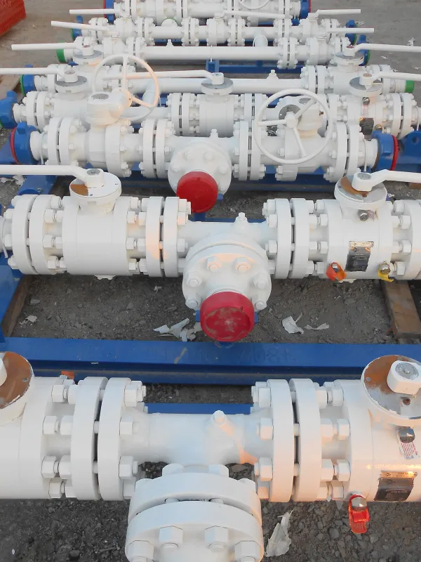 Manifolds-img2